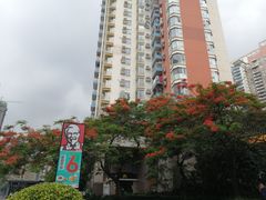 -云味馆·云南菜·云南米线(景田店)