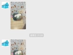 -宠物之家Pets Home 宠物寄养酒店