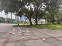 -顺峰山公园