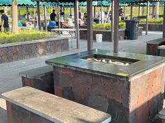 -春花秋色城市公园