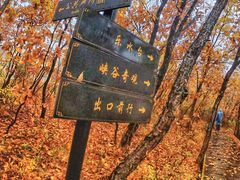 -锦河大峡谷