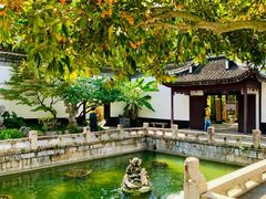 -上海醉白池公园