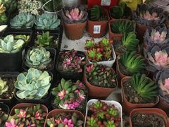 -北京华联购物中心(天通苑店)
