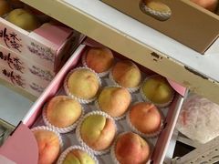 -南汇新场正宗水蜜桃采摘