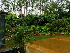 -南宁荔园维景国际酒店·荔园中餐厅
