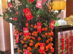 -汕头龙光喜来登酒店-采悦轩中餐厅