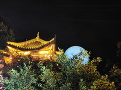 -巴倒烫陆派重庆火锅(南山店)
