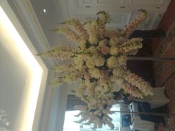 -北京饭店诺金·宴会厅