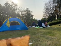 -铁山坪森林公园