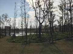 -上海长兴岛郊野公园