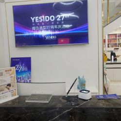 -YESIDO椰岛造型