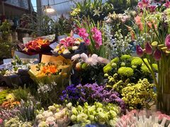 -朝来春花卉市场