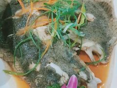 清蒸多宝鱼-渡海小渔村.老辈日照菜