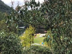 -龙湾潭国家森林公园