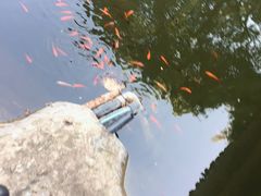 -鹅岭公园瞰胜楼