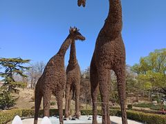 -莲花池公园
