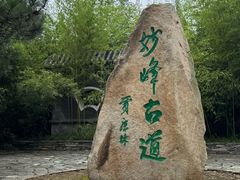 -阳台山自然风景区