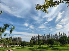 -上海长兴岛郊野公园