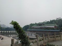 -三水森林公园