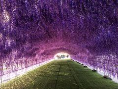 -绿野森林乐园冰雪季