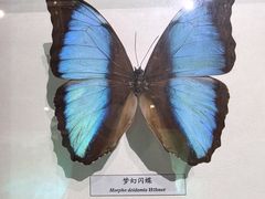 -昆明动物博物馆