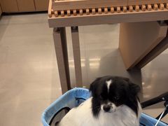-崎本的店·专业酵种吐司(无锡万象汇店)