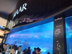 -迪拜水族馆及水下动物园