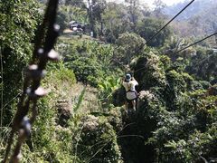 iphone_upload_pic-清迈丛林飞跃 JungleFlight
