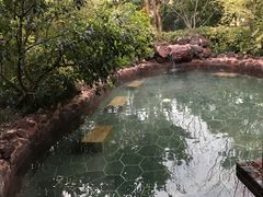 -苏州湾王焰温泉度假酒店