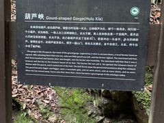 -牛背梁国家森林公园