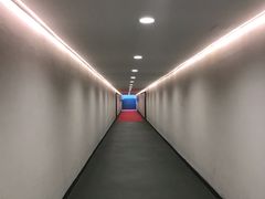 -圣西罗球场