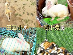 -佛冈熹乐谷温泉度假酒店