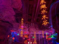 -水木谷养生水汇