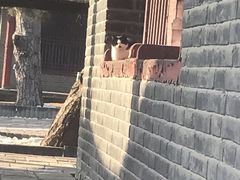 -沈阳市东陵公园