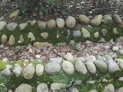 -三圣花乡旅游区