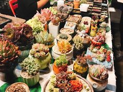 -MARU玛露音乐餐厅(大学路店)