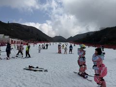 -大围山国家森林公园