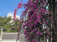 -天后宫民俗文化街