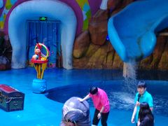 -烟台海昌鲸鲨海洋公园