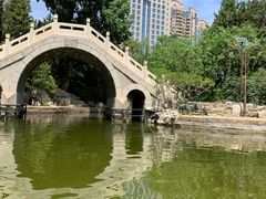 -团结湖公园