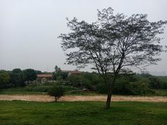 -盘龙城国家考古遗址公园