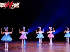 -西安小天鹅艺术团(曲江Alice店)