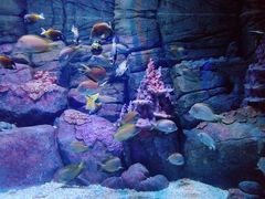 -成都浩海立方海洋公园