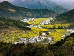-婺源风景区