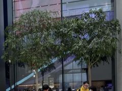 -Apple零售店(苏州店)