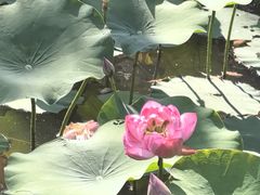 -沐仙湖湿地公园