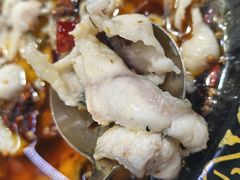 -金三可市井水煮鱼(金碧园店)