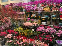 -双季花艺园艺市场(浦东店)