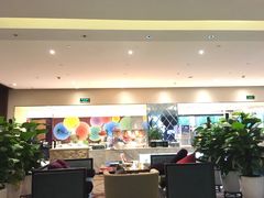 -成都明宇丽雅饭店