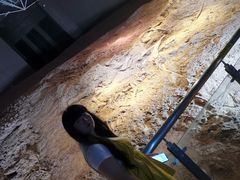 -世界恐龙谷景区